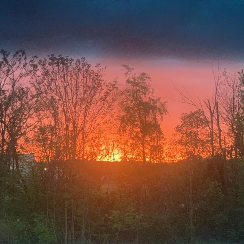 Meet your Posher, Brandi